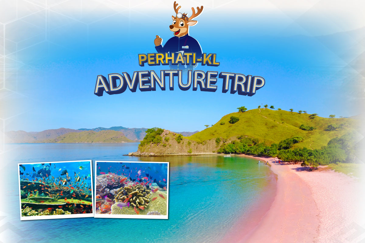 Tour Pink Beach (Snorkeling)