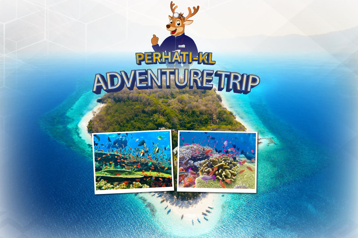 Tour Gili Nanggu (Snorkeling)